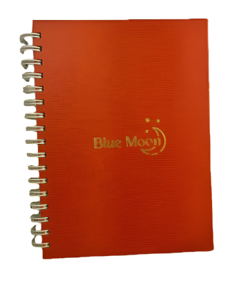 Orange Notebook hardcover