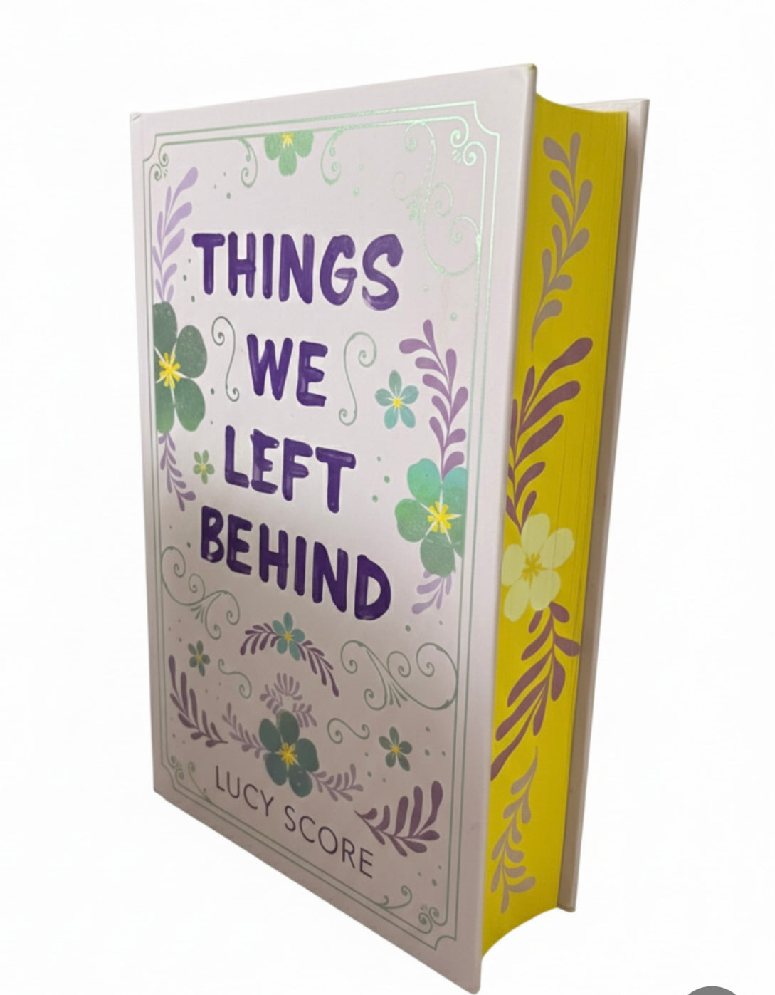 Things We Left Behind Special Edition