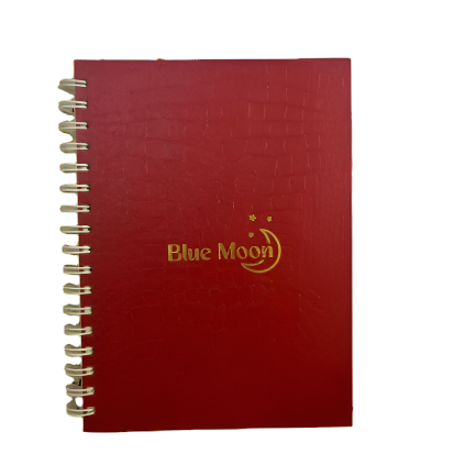 Red Notebook